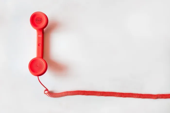 View your recent calls
