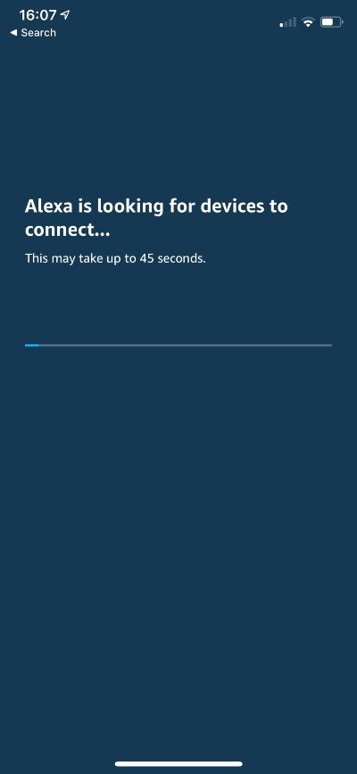 Wait for Alexa to connect
