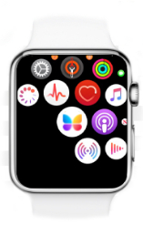 Open the Apple Watch app to open the door or gate from your Apple Watch