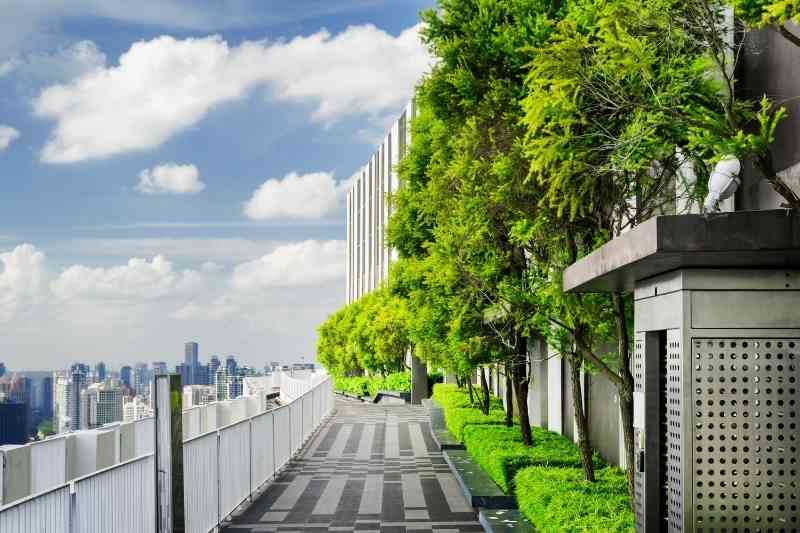 sustainable building design includes a rooftop garden