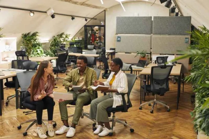 employees in a sustainable office building