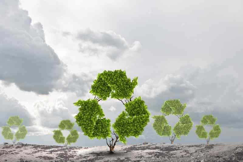 trees in the shape of the recycling symbol