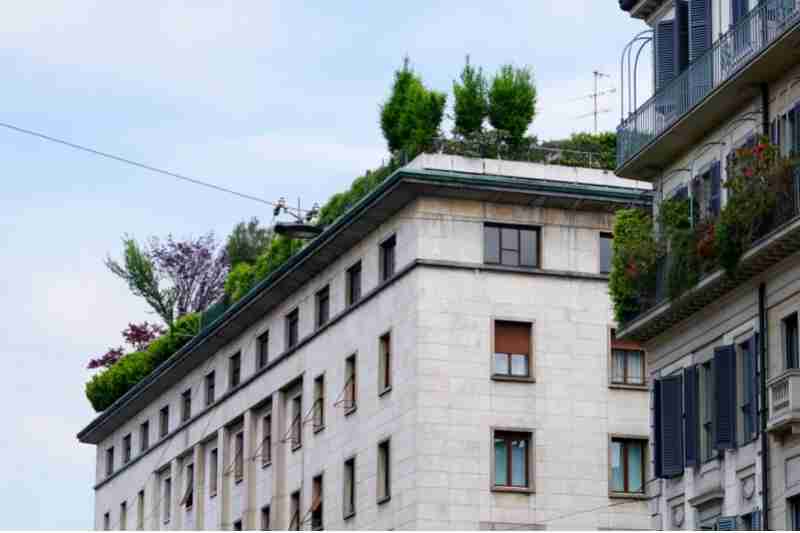 green rooftops low impact development