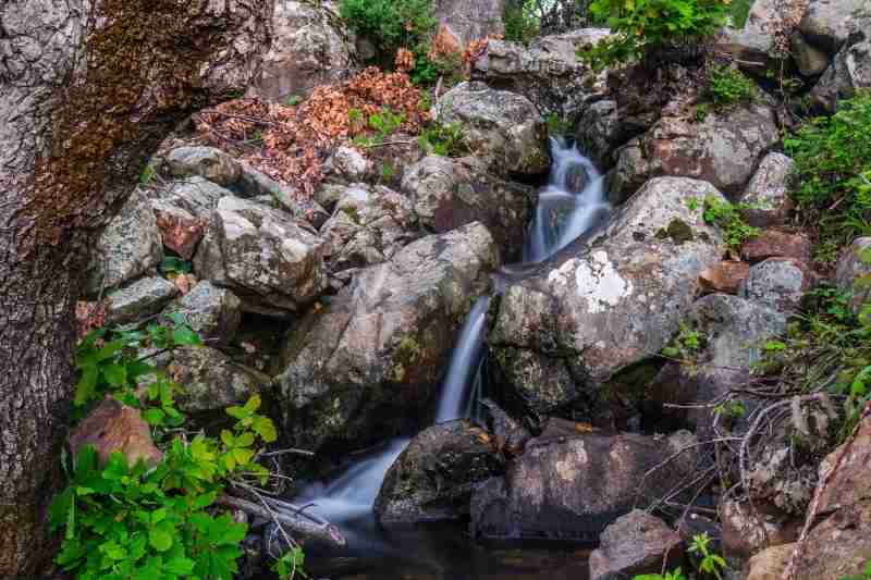 runoff low impact development techniques 