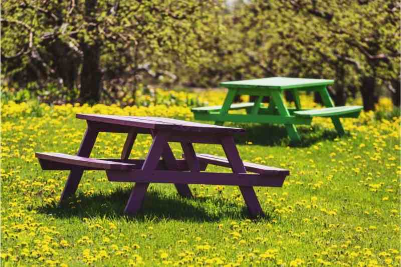 Picnic tables make for great outdoor community space that boosts curb appeal for rentals