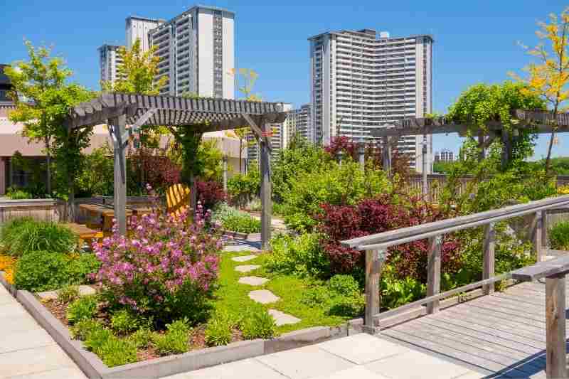 outdoor gardens are an example of amenity spaces
