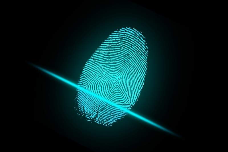 Fingerprint scanners are a type of biometric door lock