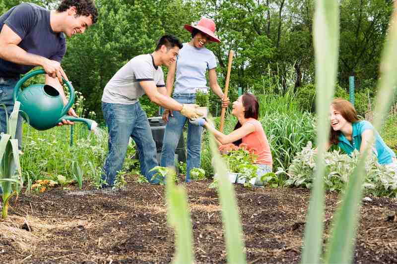 Residents planting a community garden.