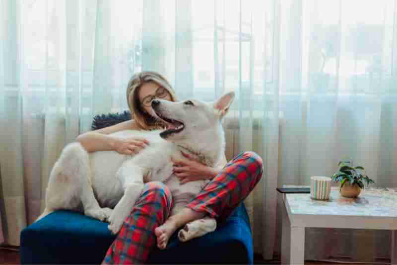 young woman holding a white dog in blog post about apartment breed restrictions