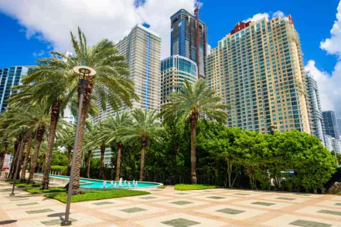 Discover the best gate motors in Miami.