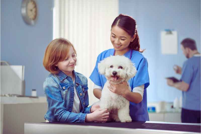 The Best Animal Hospital Security System for Veterinary Clinics